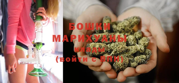 таблы Гусев