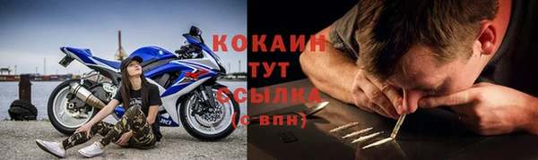 таблы Гусев