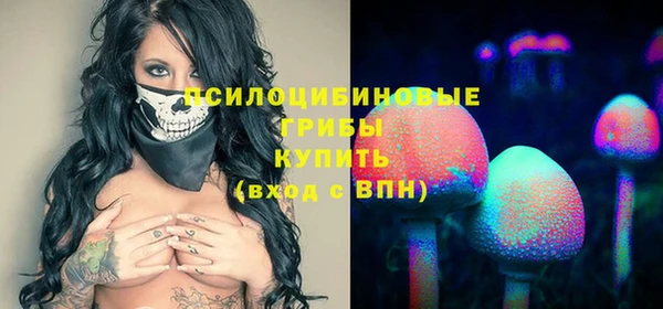 таблы Гусев